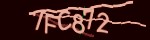 show_captcha