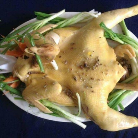 Gà tre luộc